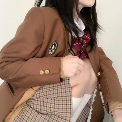 如果德川家康成为总理大臣